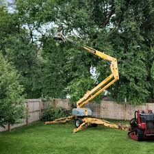 Best Tree Removal  in Smiths Station, AL