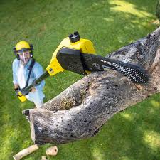 Best Arborist Consultation Services  in Smiths Station, AL