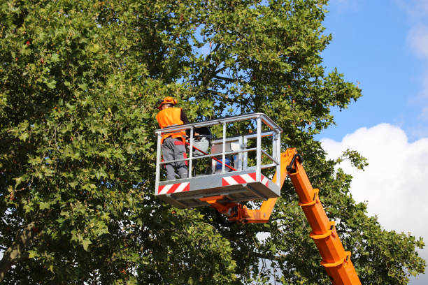 Best Hazardous Tree Removal  in Smiths Station, AL