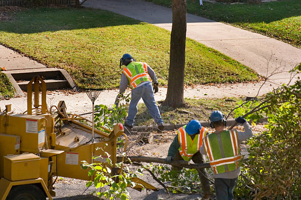 Why Choose Our Tree Removal Services in Smiths Station, AL?