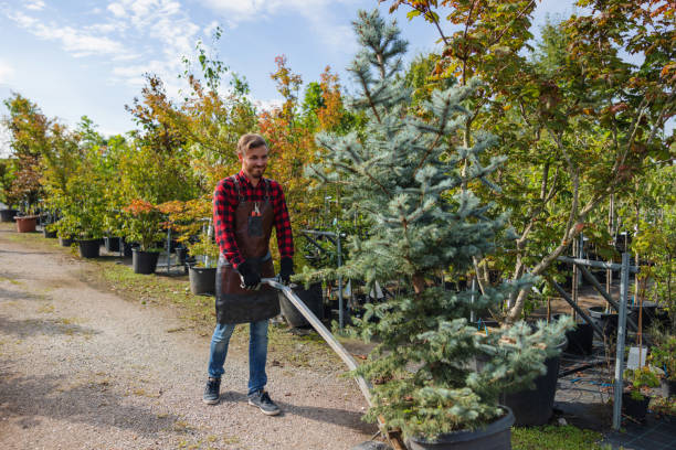 Best Root Management and Removal  in Smiths Station, AL